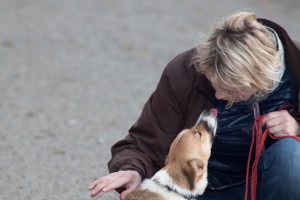 Anne-Sophie Muffat - Comportementaliste pour chiens et chats – éducation positive pour chiens de compagnie