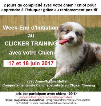 Lire la suite à propos de l’article Stage d’Initiation au Clicker Training avec votre Chien ou Chiot (juin 2017).