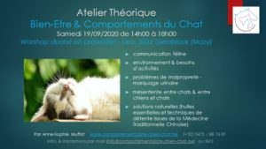 Lire la suite à propos de l’article Atelier Théorique « Bien-être et Comportements du Chat »
