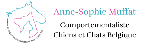 Anne-Sophie Muffat / Comportementaliste Chiens et Chats Belgique