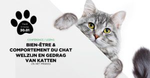 Lire la suite à propos de l’article Conférence Bien-Être & Comportement du chat à Evere