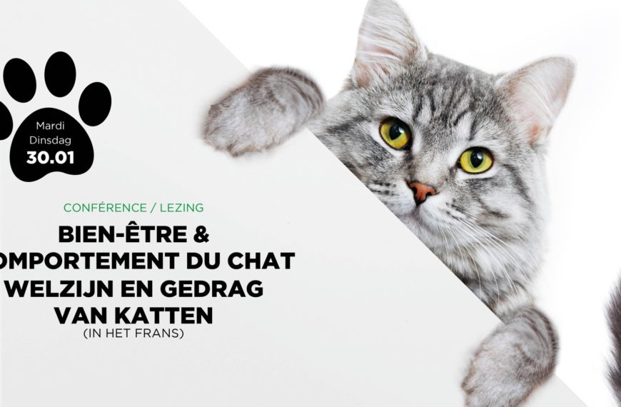Conférence Bien-Être & Comportement du chat à Evere