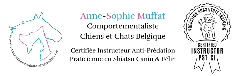 Anne-Sophie Muffat / Comportementaliste Chiens et Chats Belgique