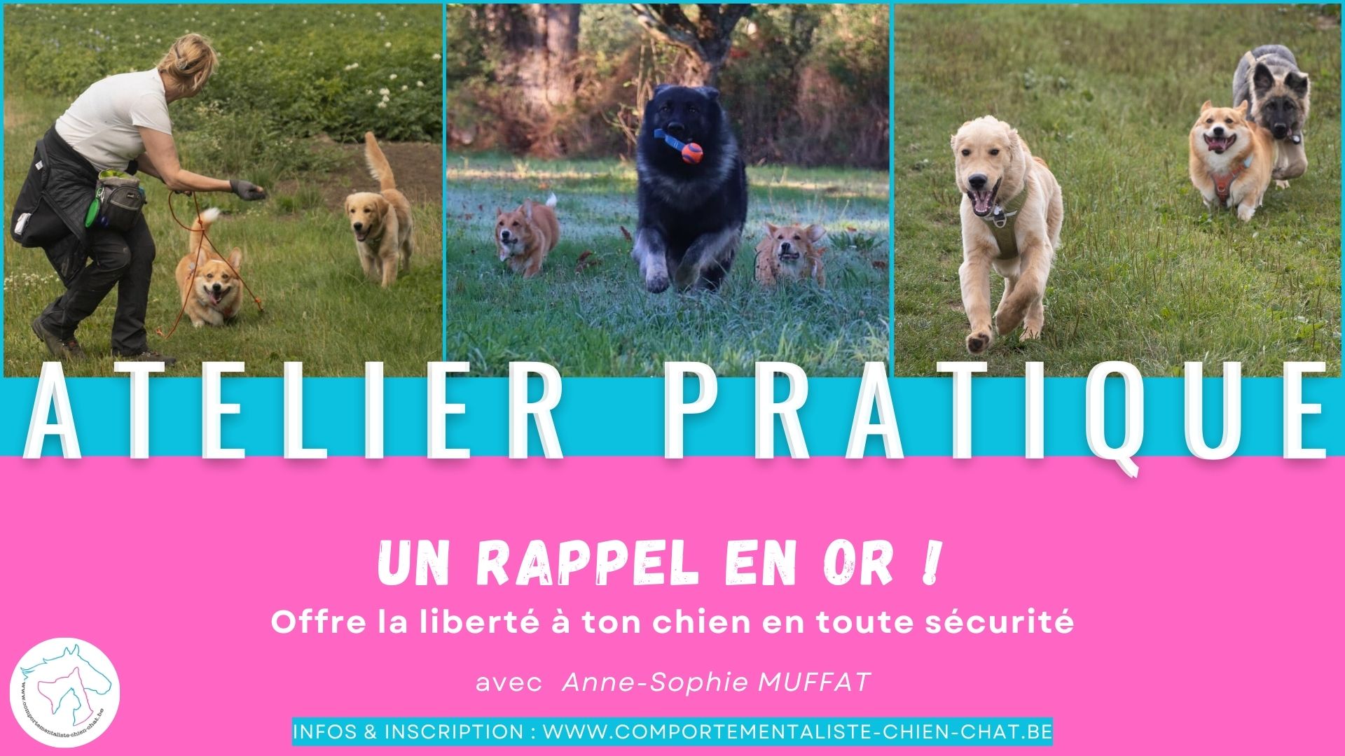 Affiche Atelier Pratique Rappel En Or