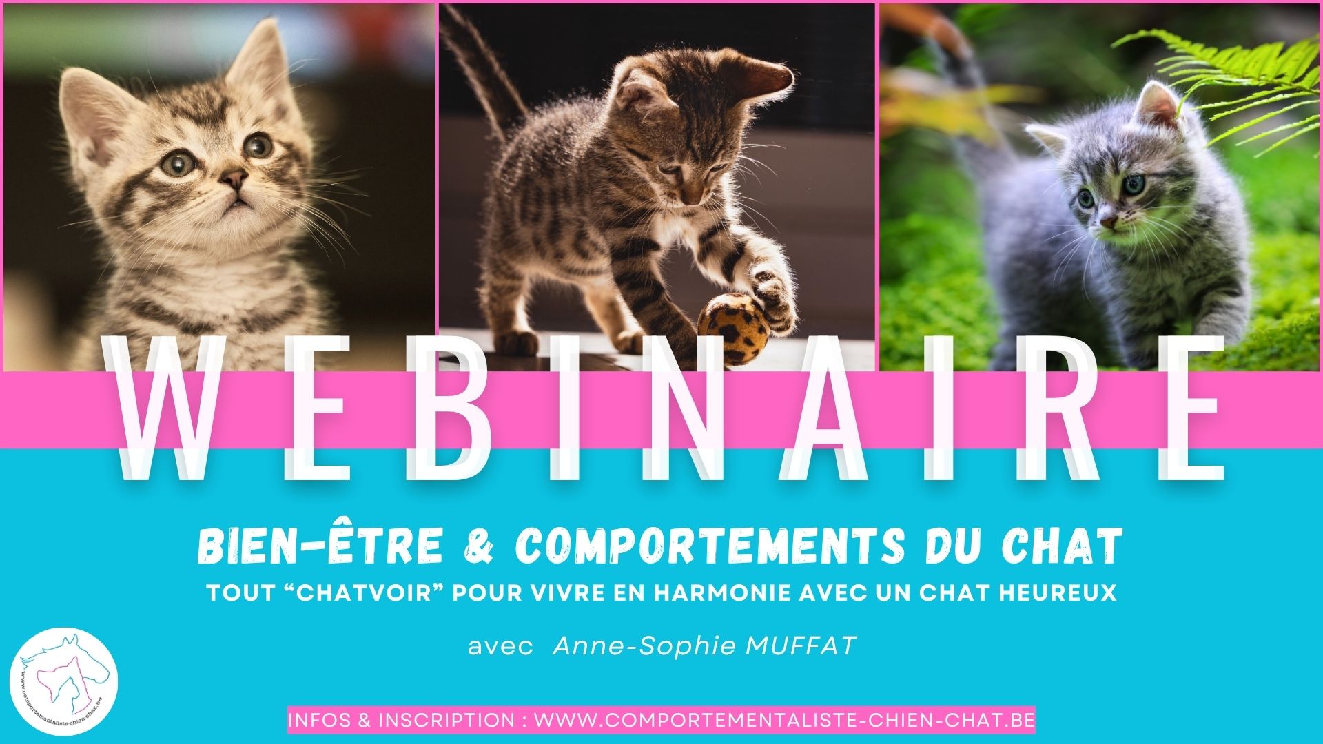 Conférence féline  » Bien-être & comportements du chat « 