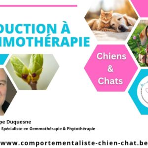 Introduction à la gemmothérapie