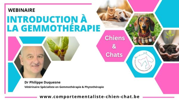 Introduction à la gemmothérapie