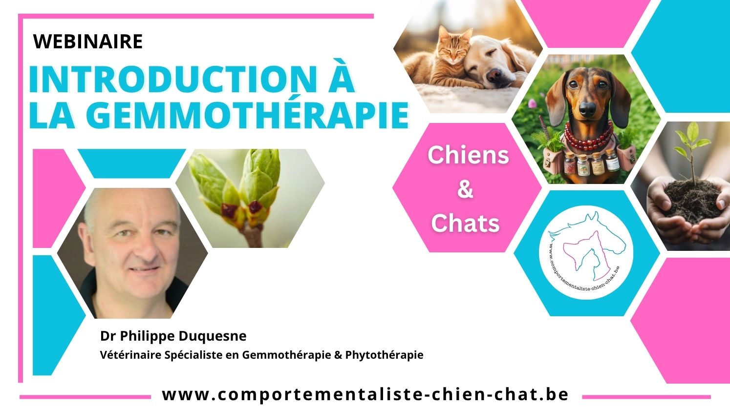 Introduction à la gemmothérapie