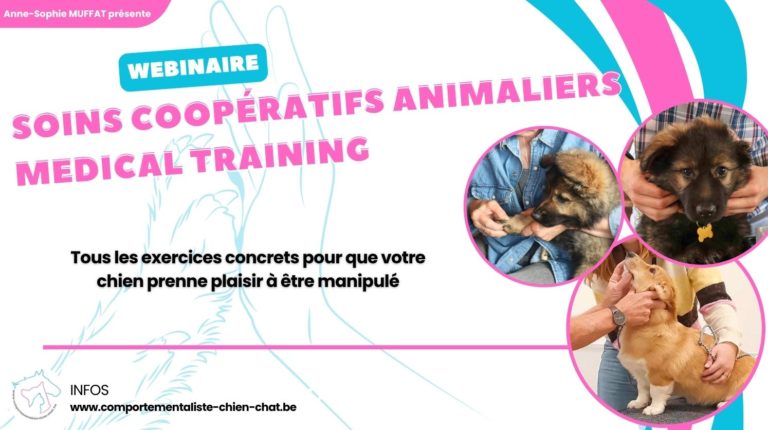 Soins coopératifs animaliers / Medical training