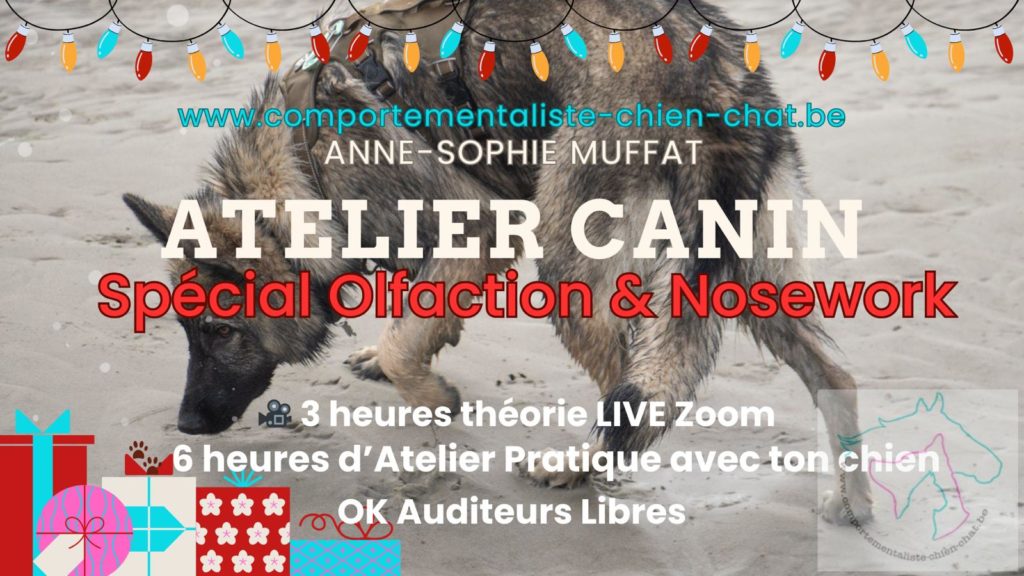 Atelier Canin